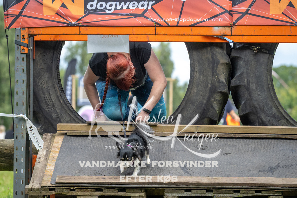 1231_ZZ93874 | kk-dogfotos