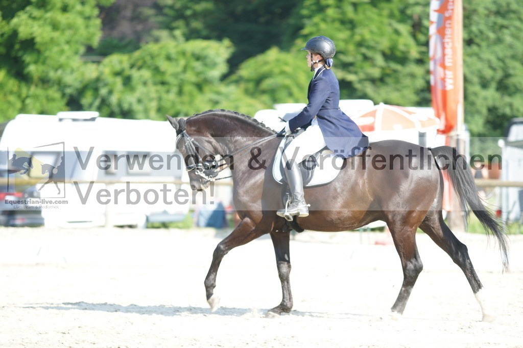 DSC02542 | equestrian-live-com