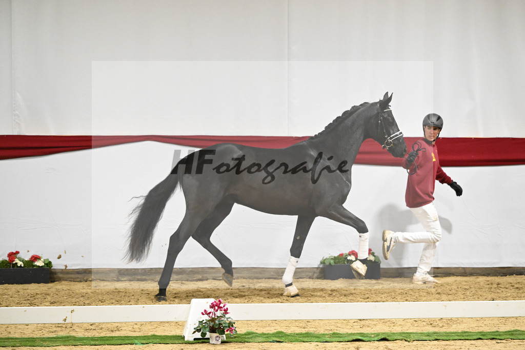Kat-Nr. 72 v. Maracana_Tanner_63222085 | hf-fotografie - Realizzato con Pictrs.com