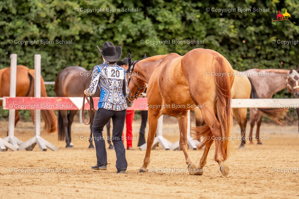 LMS06658 | BS-foto