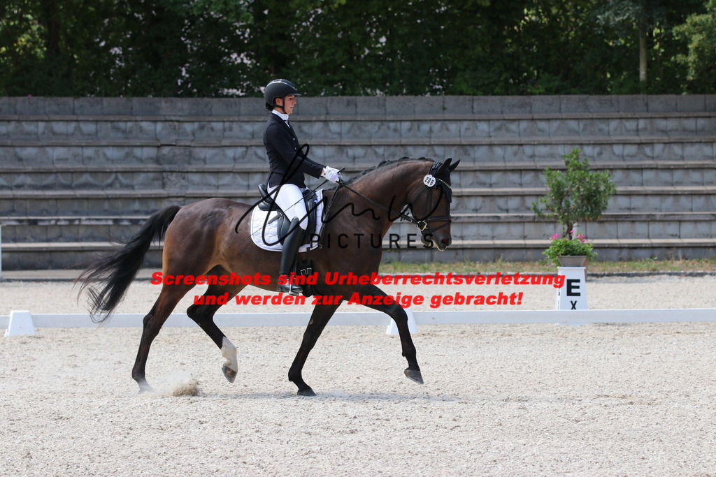 IMG_4728 | lmwpictures - Realisiert mit Pictrs.com