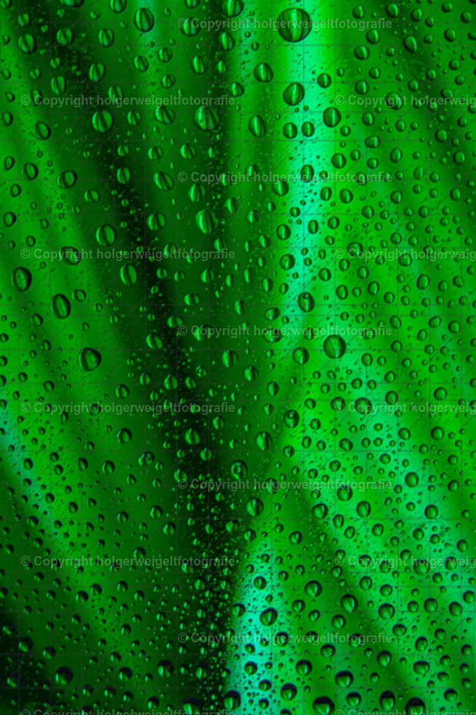 20221109141446D75_1392 | Kaufen sie online außergewöhnliche Fotografien auf Leinwand Acrylglas Fotoprint Aludibond von holgerweigeltfotografie - Realized with Pictrs.com