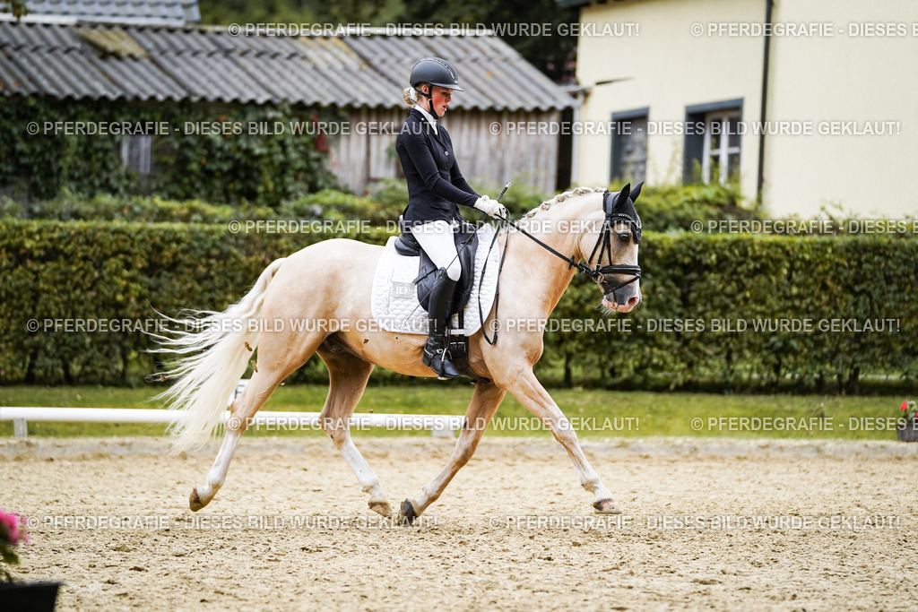 DSC02066 | Pferdegrafie