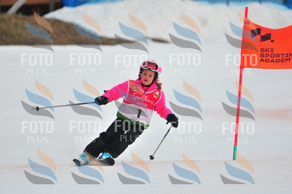 C0702 | holidayphoto