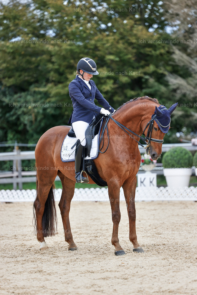 04_1-143-Dressur M__ -StoibPH-StoibPH-2696 | working equitationturnier fotograf videograf stoibphotography marixx film working equitation deutschland reitsport turnierfotografie eventfotografie equestrian events