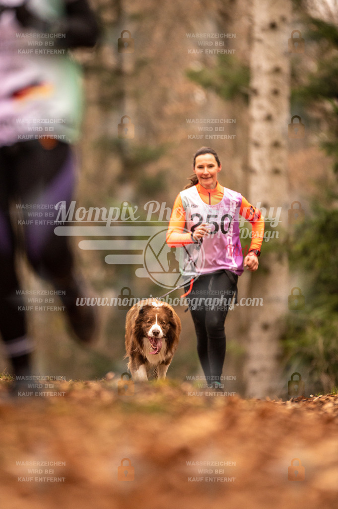 AKM_ST_2023_SAM_Run-134 | PayLife