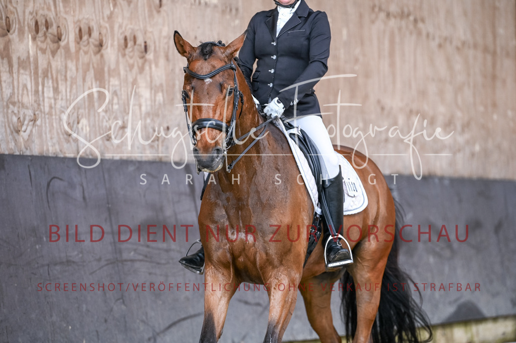 Schugtsche-Aluta25-57.Dressurprf.M1Kand-253 | Schugtsche Fotografie - Realizzato con Pictrs.com