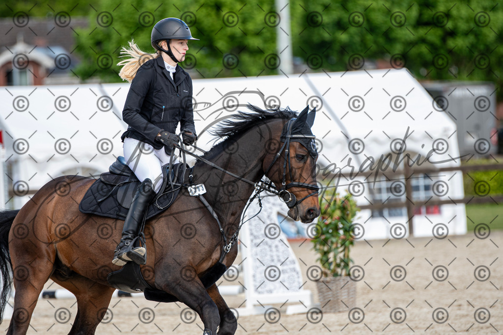 KPT_5010 | andre_photographic