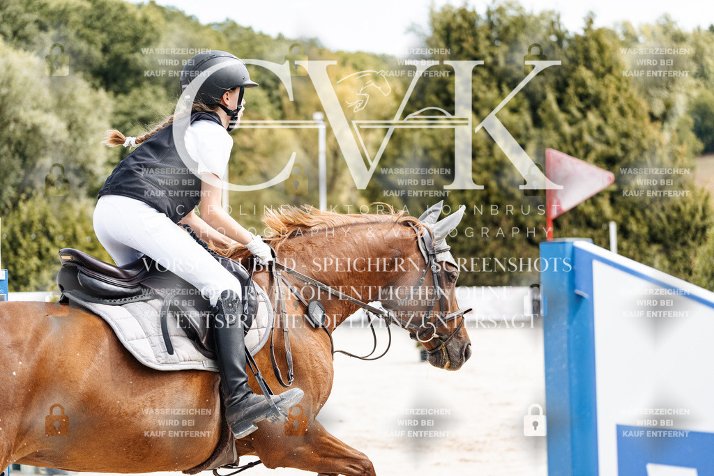 CK906537 | Turnierfotografie Pferdefotografie Trier Rheinland-Pfalz Pferdesport Reitsport Tierfotografie Sportfotografie Pferdevideo Pferdevideografie Equestrianvideography equestrianphotography  - Realisiert mit Pictrs.com