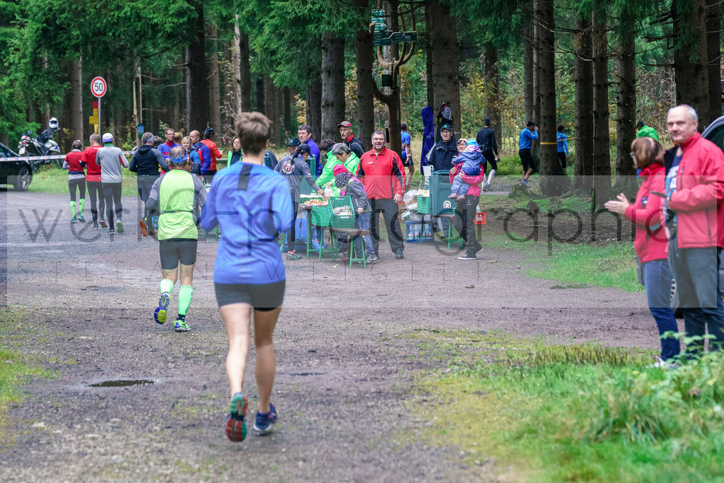 Herbstlauf 2017 | Neuhaus/Rwg. - Masserberg am 1. Oktober 2017