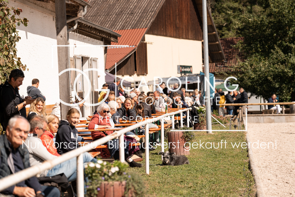 DSC04875 | Turnierfotografin Carolin Gieschke, Turnierfotografie Carolin G Fotografie, Turnierfotos Kirchheim/Teck, Esslingen, Stuttgart, Bodenseekreis