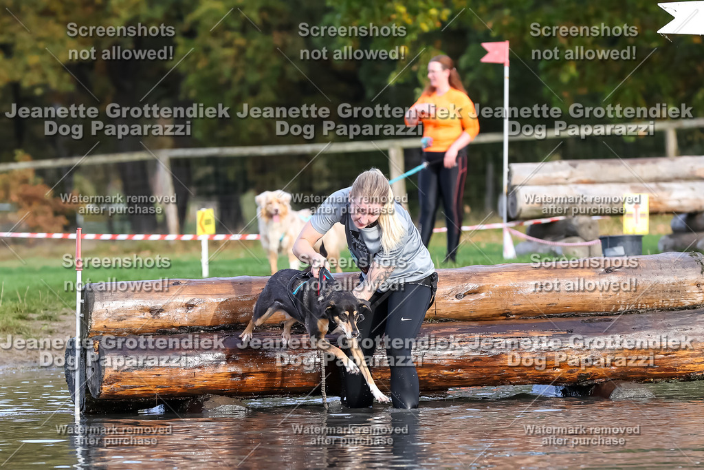 Dog Paparazzi - Strongdog 10-25-7021 | Dog Paparazzi Jeanette Grottendiek Fotografie & Videografie - Realisiert mit Pictrs.com