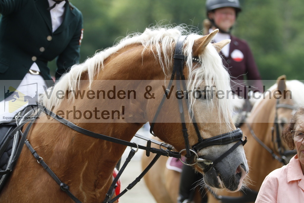_MG_6788 | equestrian-live-com