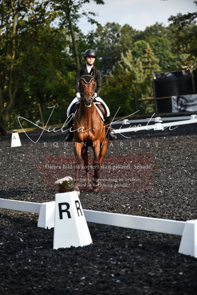 DSC_3497 | Pferde- und Turnierfotografie in Westsachsen. Pferdeportraits, Auftragszeichnungen und intuitive Kunst.