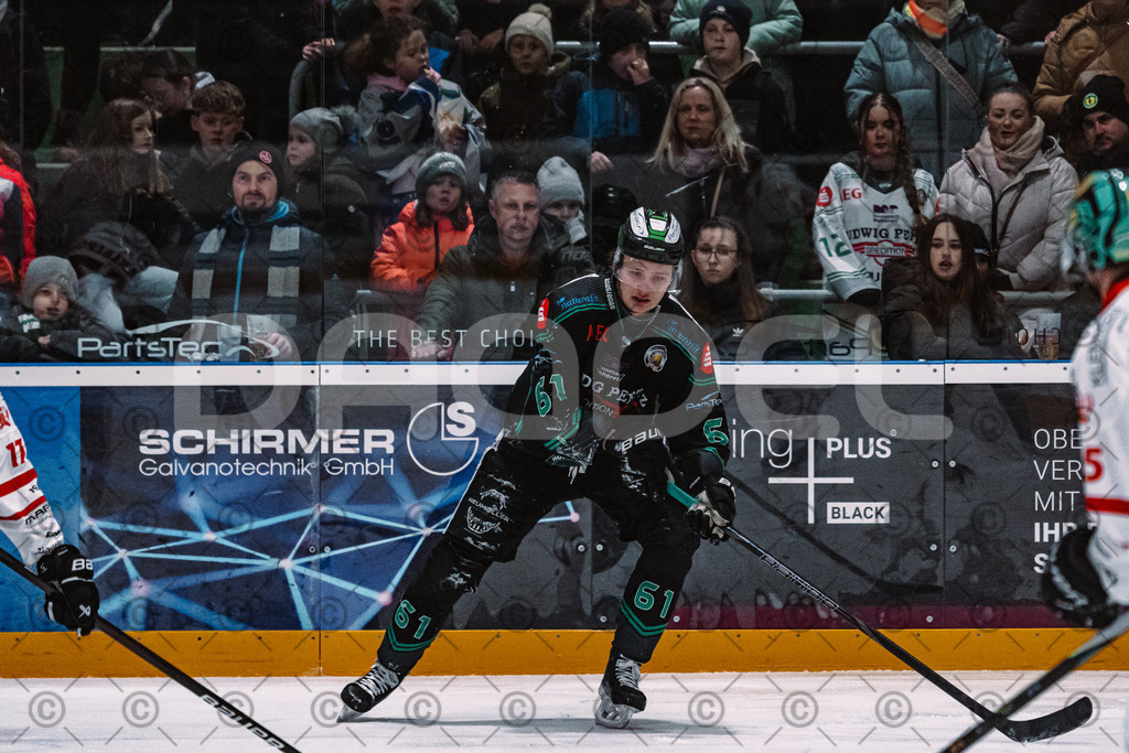 Alligators_vs_Toelz_15_02_2026-08 | Höchstadt Alligators Fotogalerie: Eishockey-Action aus Franken. Professionelle Spielfotos, Portraits & Stadionbilder zum Download. Jetzt entdecken! - Realisiert mit Pictrs.com