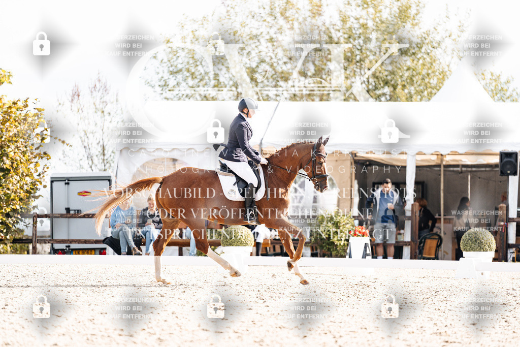 CK901868 | Turnierfotografie Pferdefotografie Trier Rheinland-Pfalz Pferdesport Reitsport Tierfotografie Sportfotografie Pferdevideo Pferdevideografie Equestrianvideography equestrianphotography  - Realisiert mit Pictrs.com