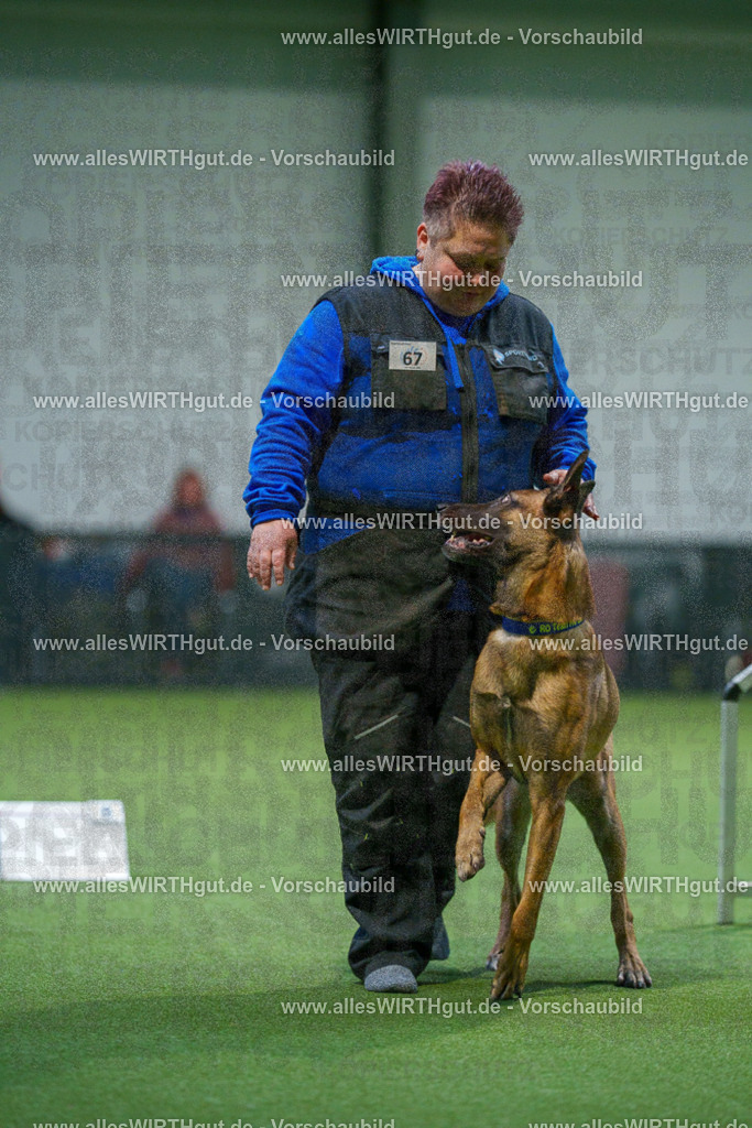 7R503750 | Professionelle Tierfotografie in Mönchengladbach von Daniel Wirth (allesWIRTHgut). Liebevolle & natürliche Bilder von Hunden & Katzen für unvergessliche Erinnerungen.