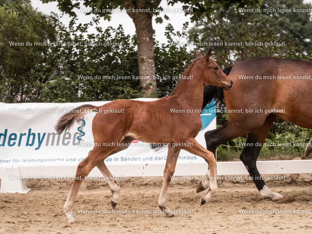 A10I6125 | photographylinaismer - Realisiert mit Pictrs.com