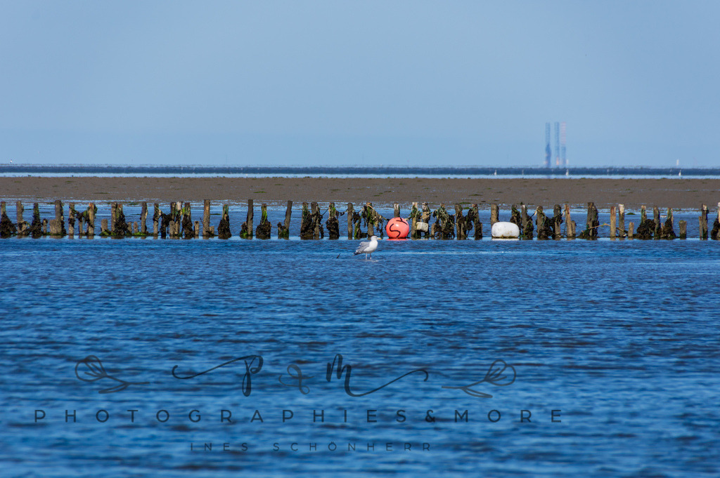 IMGP0430 | Nordseeinsel Mandö - Realisiert mit Pictrs.com