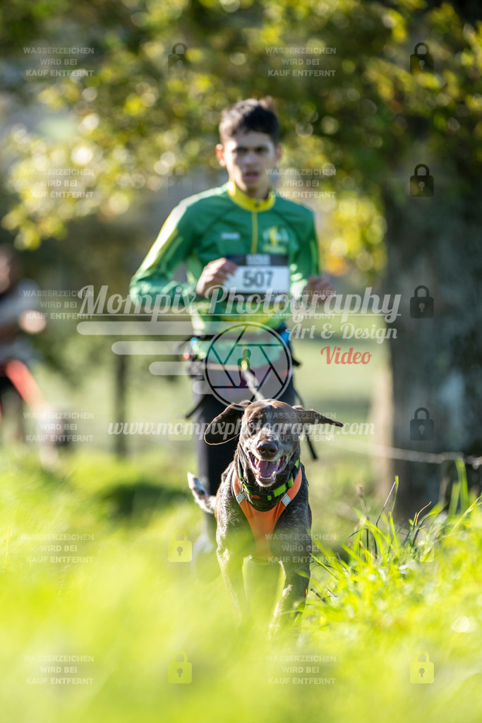 MompixPhotography_20TSB_E3_Run-228 | PayLife