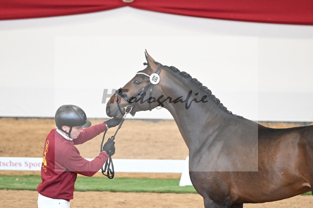 Kat.-Nr. 68 v. Fynch Hatton_Kampe_2250485 | hf-fotografie - Realisiert mit Pictrs.com