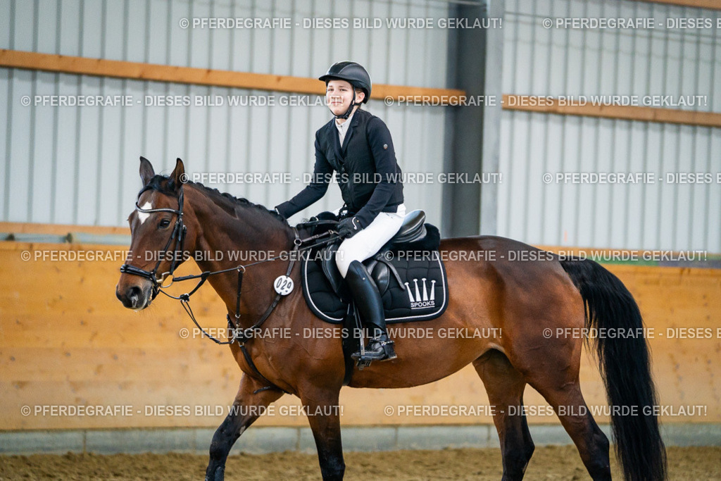 DSC00646 | Pferdegrafie