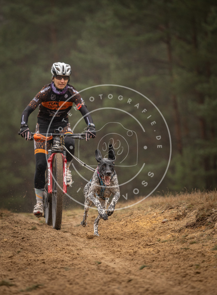 Pfotenfotografie_DV3A3148 | Hundefotografie, Tierfotograf, Pfotenfotografie, Fotoshooting Hund, Hunde Portrait, Hundesport, Hundeportraits, Heideshooting, Hunde, Sportfotograf, Hundefotograf, Turnierhundsport, THS,  - Realisiert mit Pictrs.com
