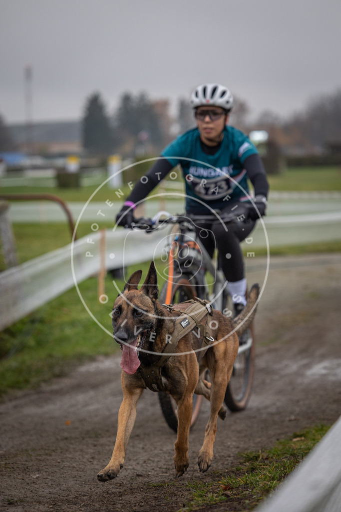 CaniXpix_0L8A1759 | Hundefotografie, Tierfotograf, Pfotenfotografie, Fotoshooting Hund, Hunde Portrait, Hundesport, Hundeportraits, Heideshooting, Hunde, Sportfotograf, Hundefotograf, Turnierhundsport, THS,  - Realisiert mit Pictrs.com
