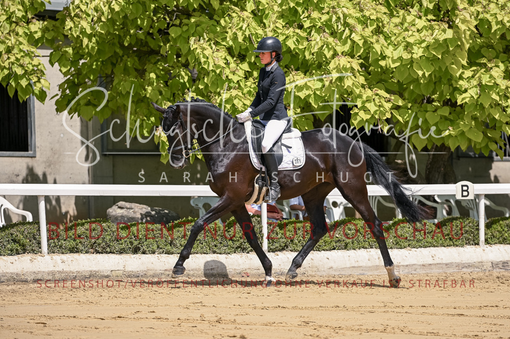 Schugtsche-Aluta25-48.Reitpferfdeprf.-184 | Schugtsche Fotografie - Realisiert mit Pictrs.com