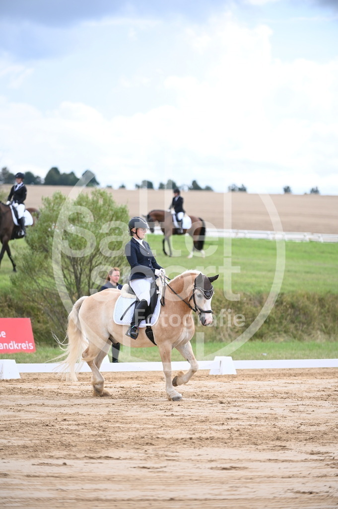 DSC_7370 | sattelsport - Realisiert mit Pictrs.com