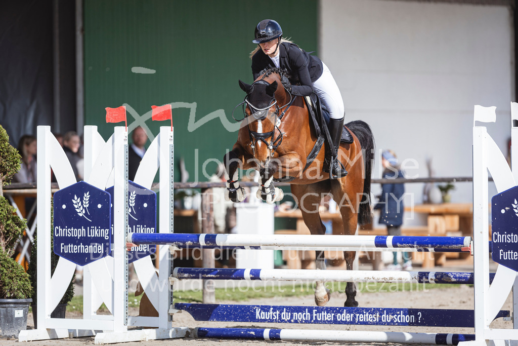 250419_Frühlingsfest_A-Stil1-421 | Deine schönsten Turniermomente als professionelle Fotos! Entdecke hochwertige Pferdesport-Fotografie im Online-Shop. Jetzt Fotos finden & bestellen!