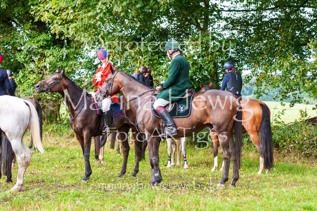 Jagd Perdoel 26 Sony-03981_MarinaHewig | Fotografie, FotoArt, PferdesportArt, Pferdesportfotografie, Landschaftsfotografie, Reisefotografie, Reise, Pferde - Realisiert mit Pictrs.com