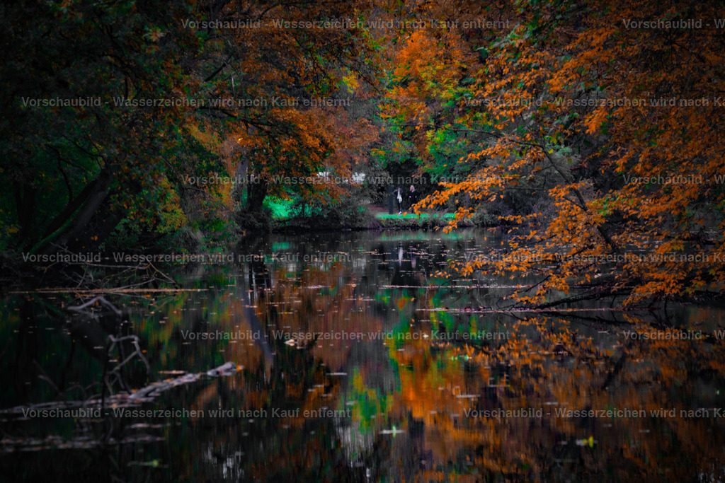 DSC06072-3 | marcuslinek