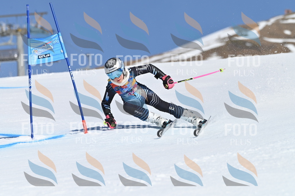 BGV_8482 | holidayphoto