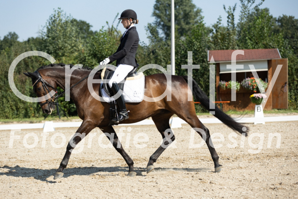 IMG_5704 | Creatify Fotografie