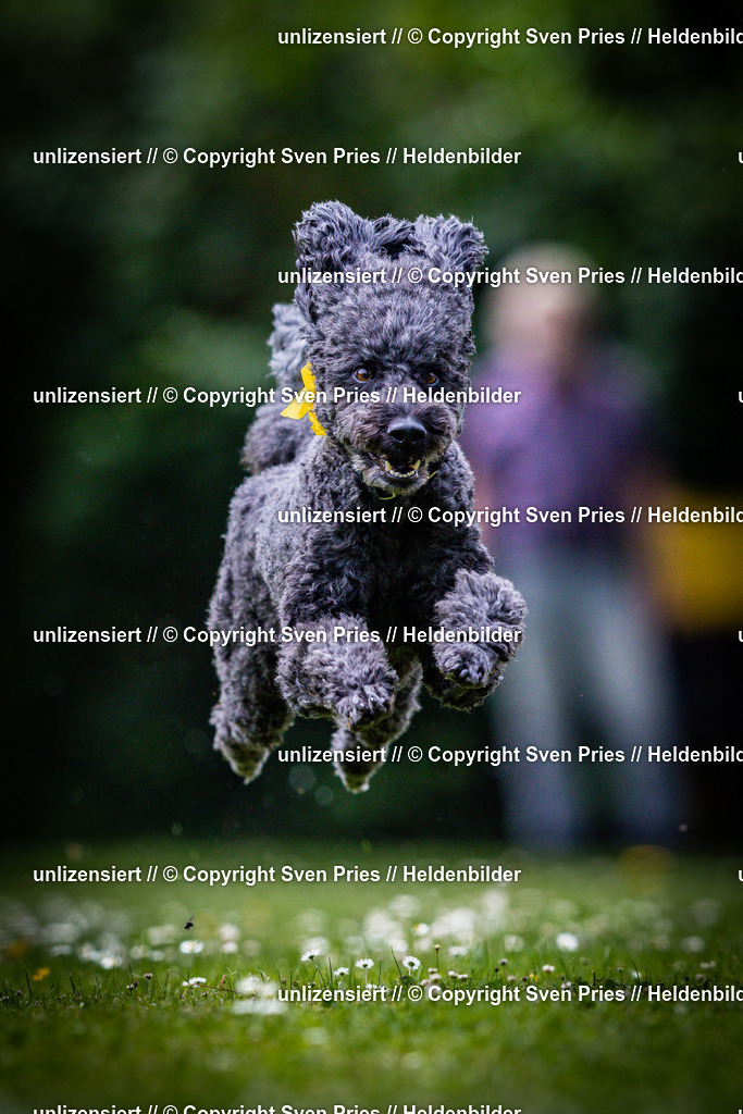 Sven Pries | 2025-05-29 - Pudelrennen KA-Durlach - Realisiert mit Pictrs.com