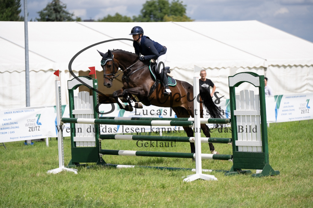 A7V04139 | Pferdefotograf