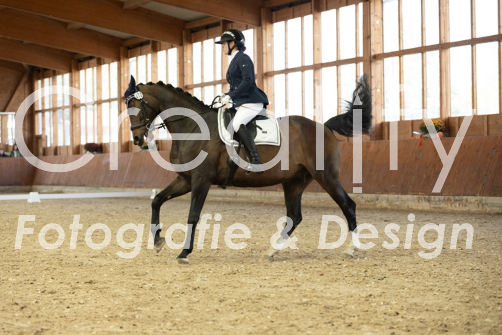 IMG_4733 | Creatify Fotografie