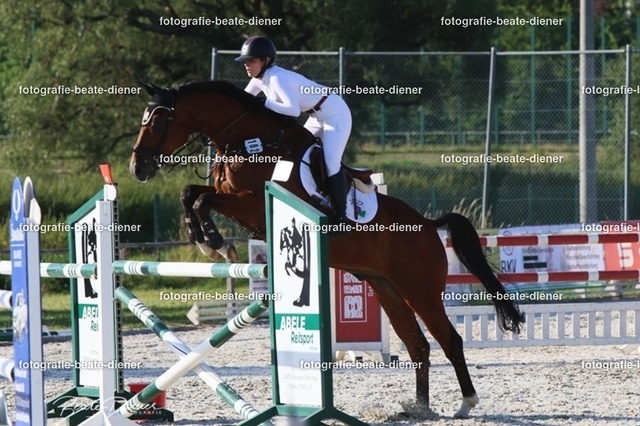 OHT 2022 Röhlingen (176) | Fotografie, Tiere, Hunde, Katzen, Pferde, Sportfotografie, Fotosession, Tierfotografie, Turnierfotografie, Fotografin, Fotograf - Realisiert mit Pictrs.com