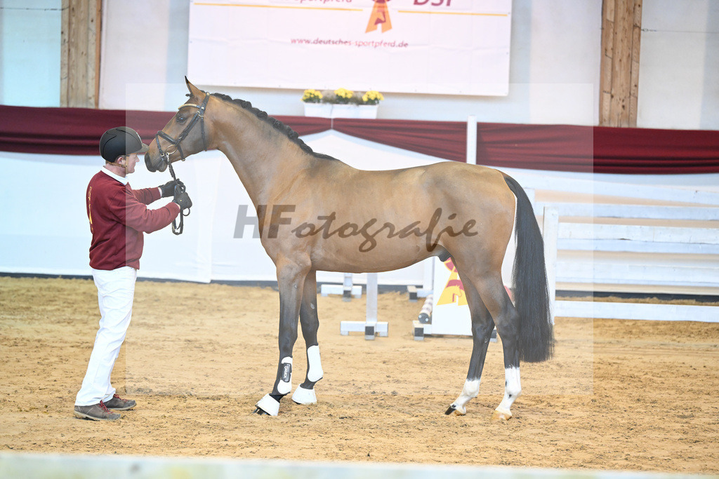 Kat-Nr. 62 v. Asti Spumante_Muehlbauer_66221384 | hf-fotografie - Realisiert mit Pictrs.com