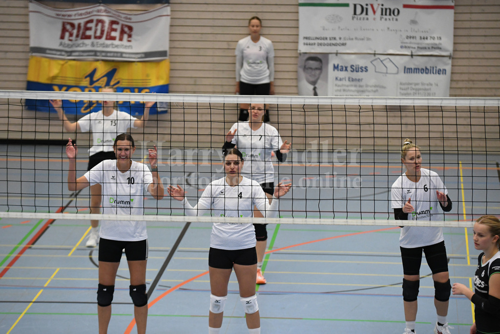TSV Deggendorf Damen : Wilde Wespen Steinach | TSV Deggendorf Damen : Wilde Wespen Steinach - Realisiert mit Pictrs.com