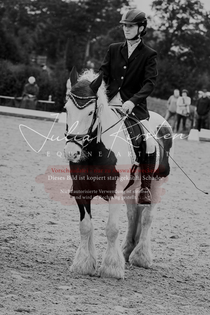 DSC_7278 | Pferde- und Turnierfotografie in Westsachsen. Pferdeportraits, Auftragszeichnungen und intuitive Kunst.