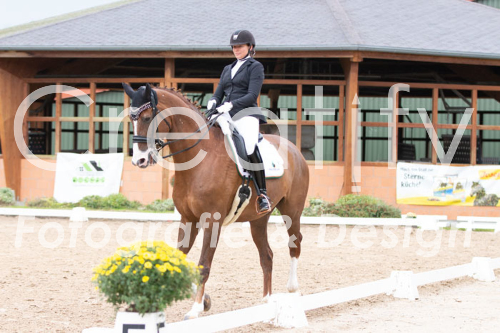 IMG_7214 | Creatify Fotografie