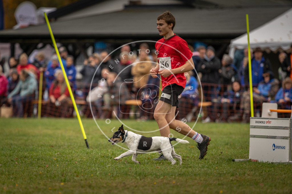 Pfotenfotografie_DV3A6713 | Hundefotografie, Tierfotograf, Pfotenfotografie, Fotoshooting Hund, Hunde Portrait, Hundesport, Hundeportraits, Heideshooting, Hunde, Sportfotograf, Hundefotograf, Turnierhundsport, THS,  - Realisiert mit Pictrs.com