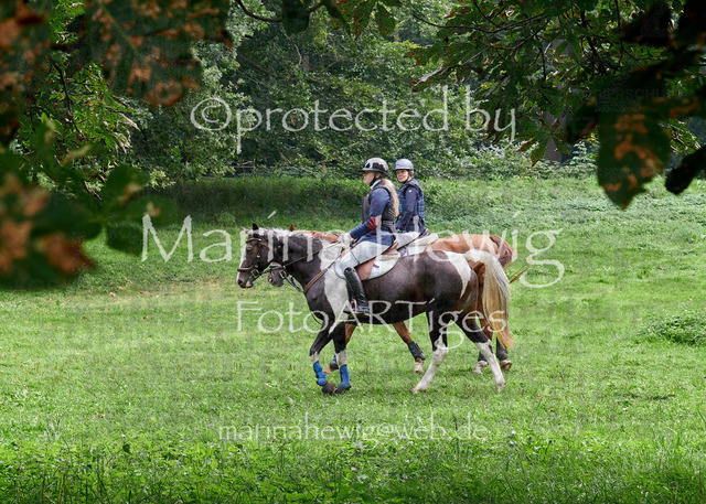 09-23 JAgd PerdölDSC01949_Marina Hewig | Fotografie, FotoArt, PferdesportArt, Pferdesportfotografie, Landschaftsfotografie, Reisefotografie, Reise, Pferde - Realisiert mit Pictrs.com