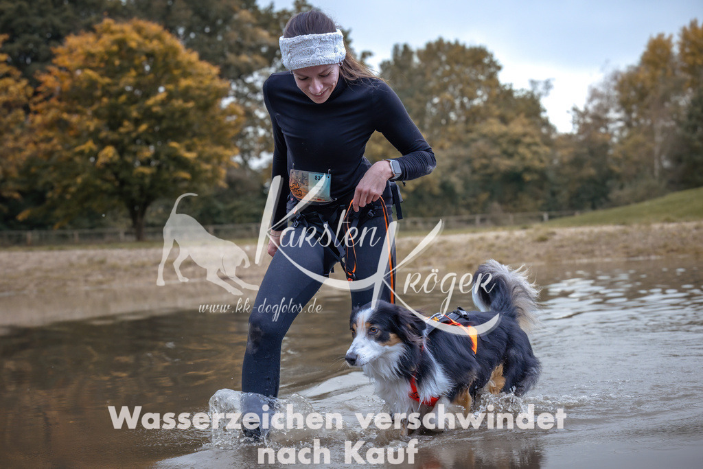 1342_ZZ94653 | kk-dogfotos