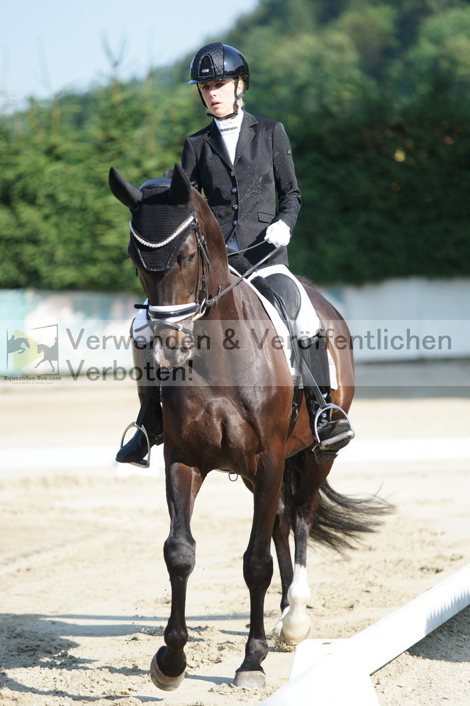 DSC01274 | equestrian-live-com