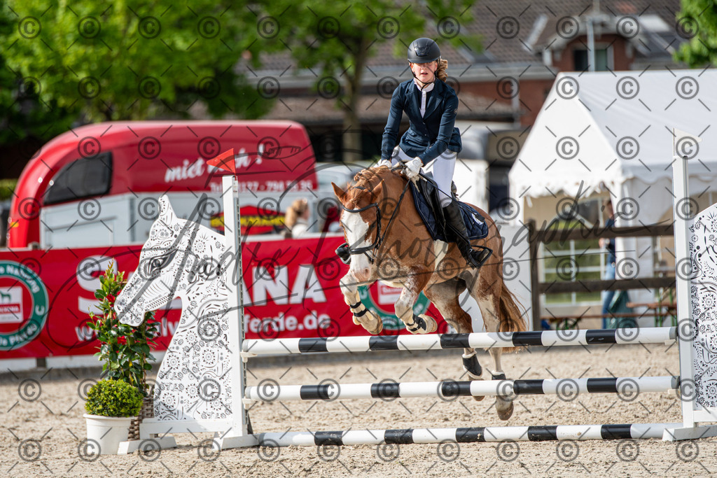 KPT_6754 | andre_photographic