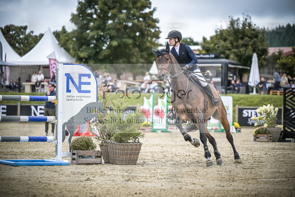 DOS_1972 | Entdecke hochwertige Reitturnierfotos von Foto Oger. Professionell, emotional und authentisch – jetzt Lieblingsmomente im Shop bestellen. - Realisiert mit Pictrs.com