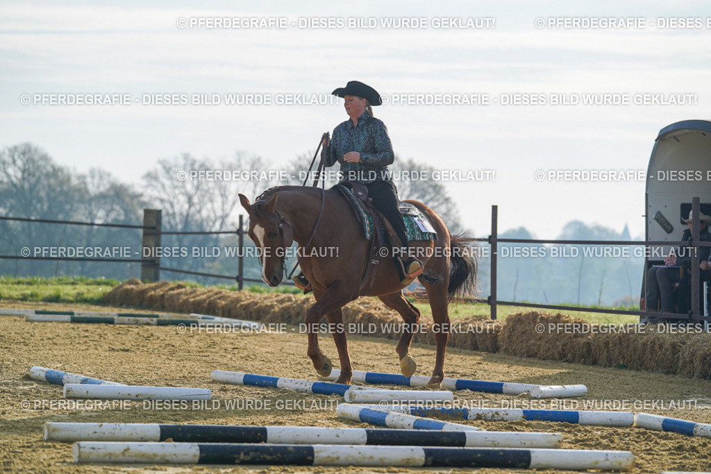 DSC00584 | Pferdegrafie